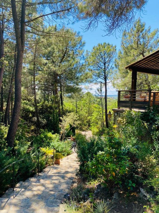 Lou Paradou Lodge Grillon ภายนอก รูปภาพ
