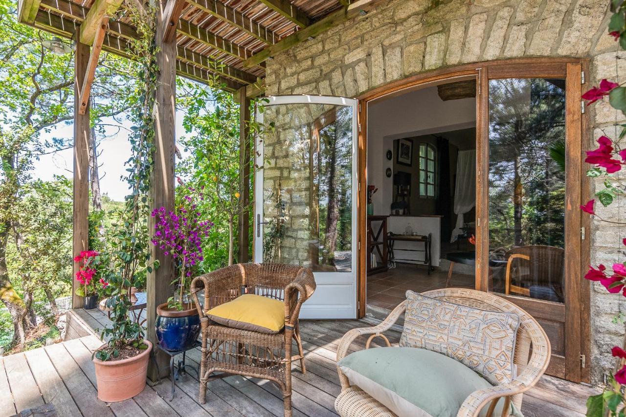 Lou Paradou Lodge Grillon ภายนอก รูปภาพ